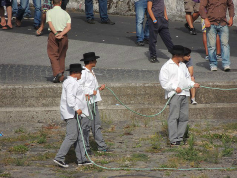 men holding the rope to control bull