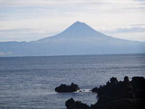 view of Pico