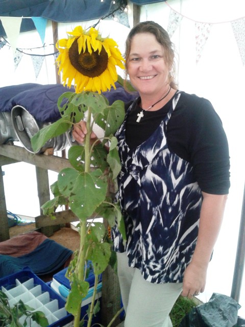 V tall sunflower....taken for mum