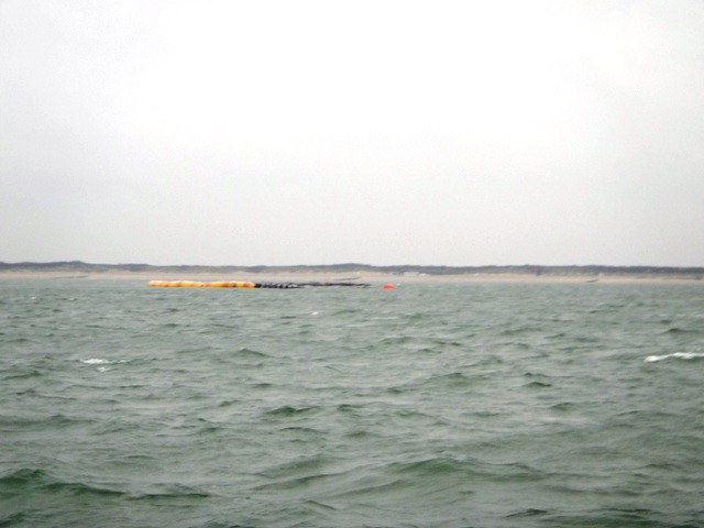 Random floating pontoon on way to Breskens