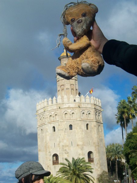 Teddy at the Tower of Gold