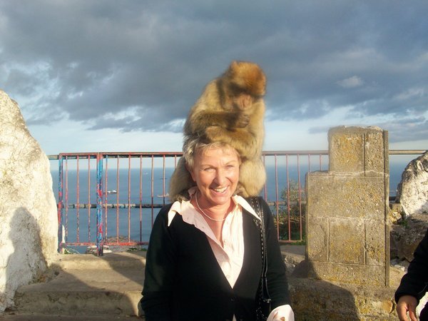 Monkey On Herta's Head!