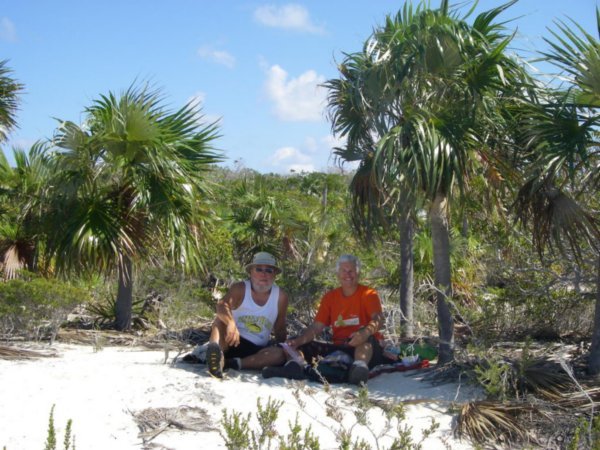 Lunch à l’ombre des palmiers sur la plage
