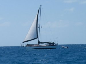 Layla, un beau bateau copain en navigation sur le Bank entre le parc et Staniel Cay