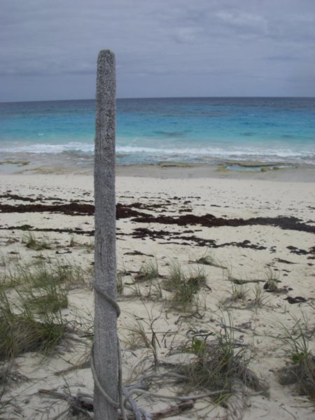 Poteau rongé par le sel sur le côté mer de l’île