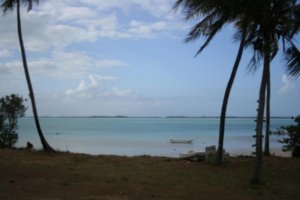 Paysage bahamien au nord de l’île, à Barraterre