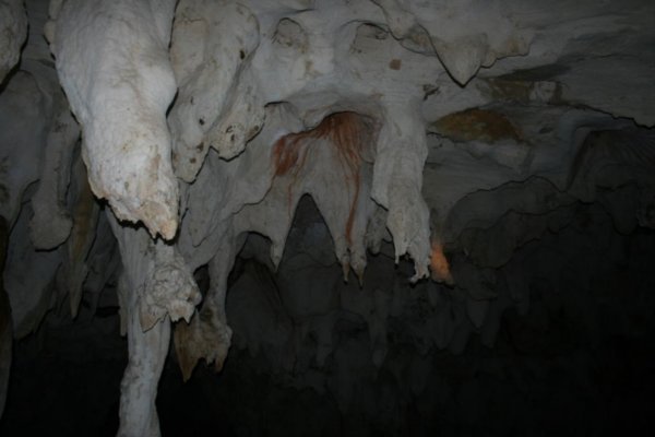 Au plafond, les lignes brun rouge sont des tunnels construits par les termites.