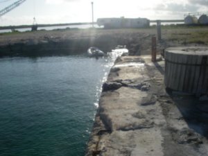 L’annexe dans le « port » du gouvernement et du « mail boat »