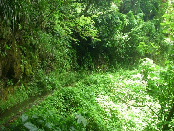 Le sentier suit le canal d’irrigation à flan de montagne       