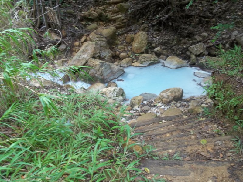 Les ruisseaux des alentours charrient des eaux pleines de sels mineraux     