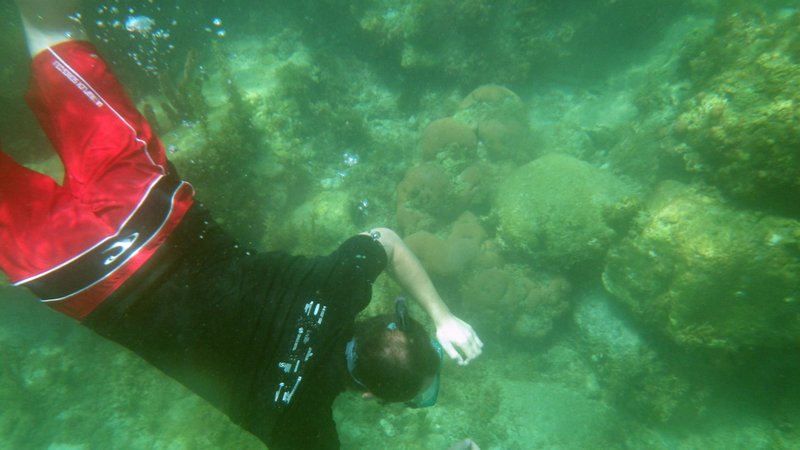 Un peu de snorkel dans la Grande Anse d’Arlet
