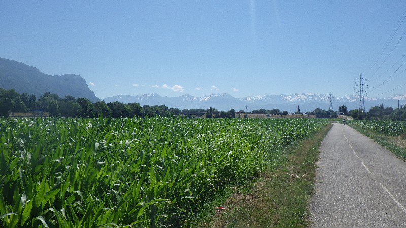 Maïs et Alpes....