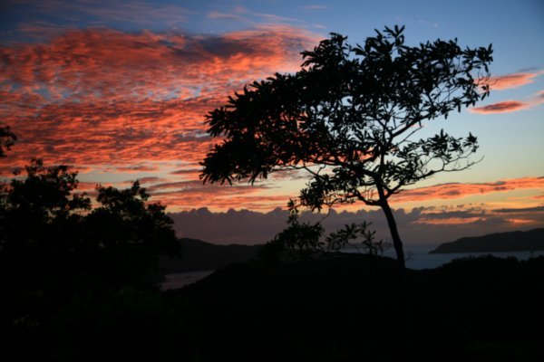 The sunset from the hill at 150m above sea level, Blue Cove.