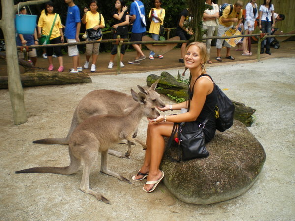 Me and the nibbly kangaroos