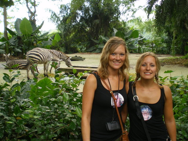 Us and the giraffes