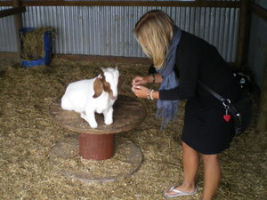 Me and the unfriendly goat