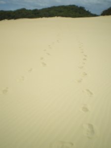 Ours = Only footprints up there