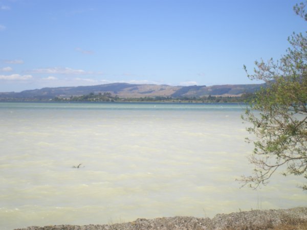 Milky water at Sulphur Point