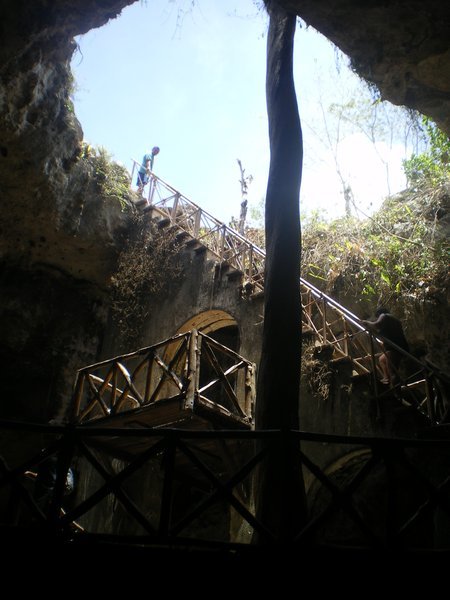 Looking out of the cenote