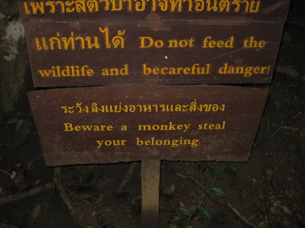 Monkey warning