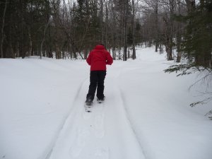 My backside snowshoeing...