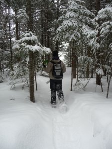 Action shot of snowshoeing