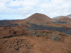 The lava river that covered Santiago Island after the last eruption