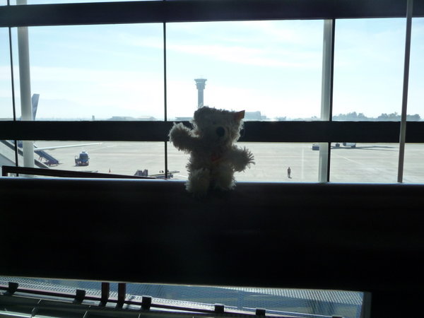 Charlie watching the planes and air traffic control