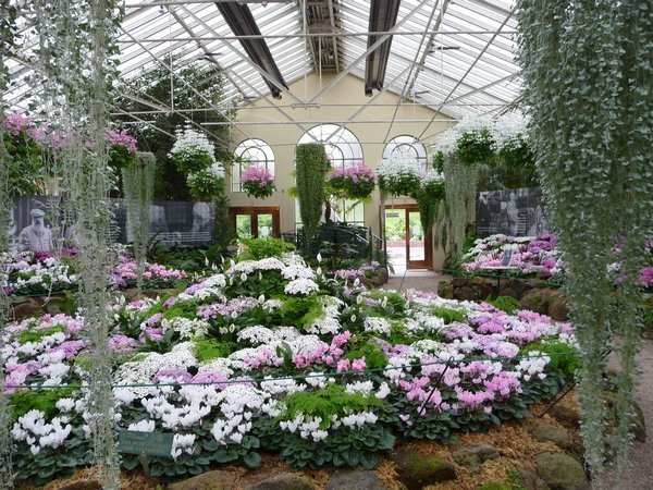 The Conservatory dedicated to Monet