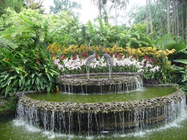 National Orchid Garden Singapore | Photo