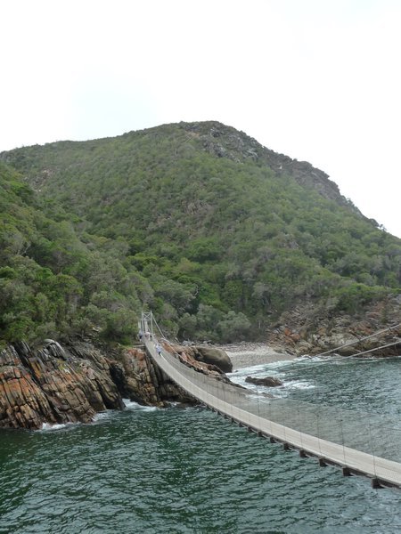 The suspension bridge with the lookout at the top