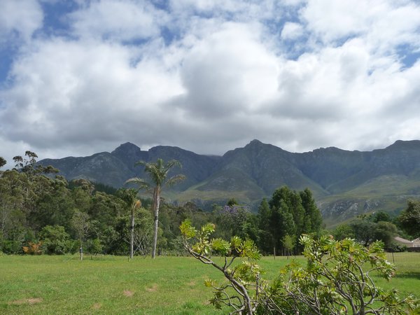 The view from the hostel in Swellendham