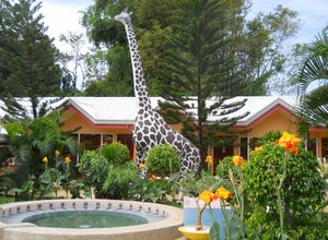 Life-Sized Giraffe