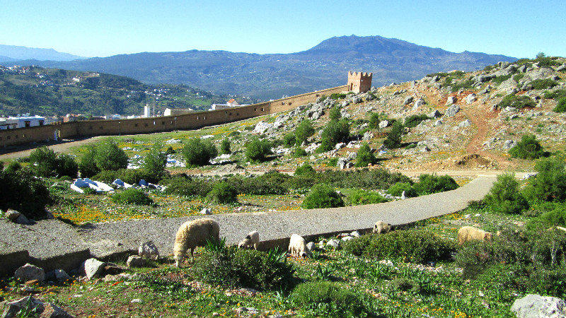 Medina Wall As Seen From The East