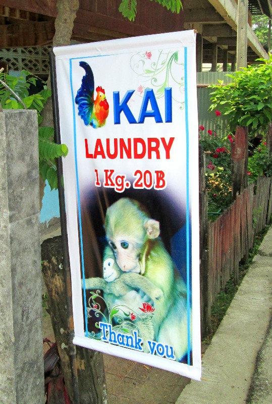 On A More Somber Note; I Was Sorry To Learn That Laundry Monkey Passed Away