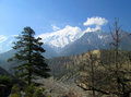 Annapurna From The Ridge
