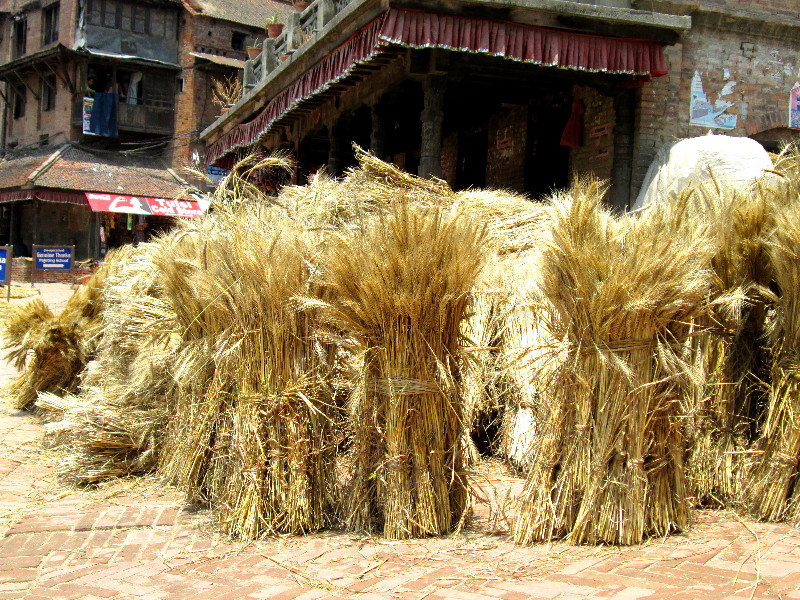 Sheaves of Wheat