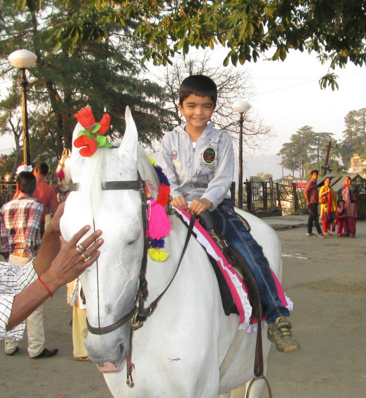 Happy Kid On A Horse