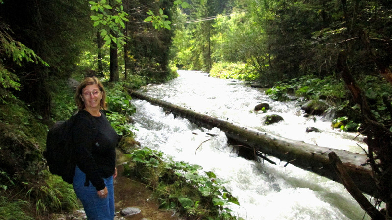 Lower Tatras Trout Stream