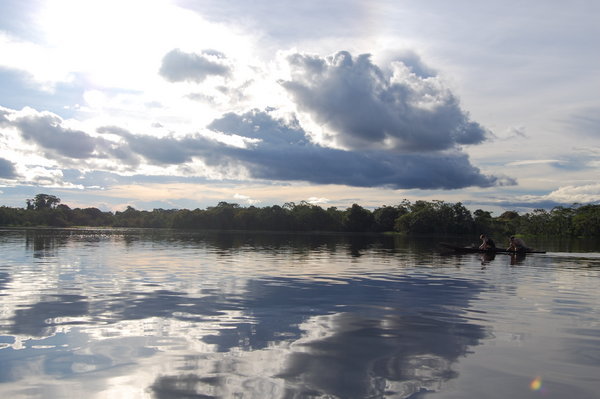View of The Amazon