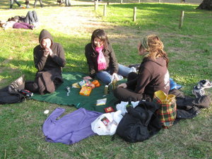 picnic2.0