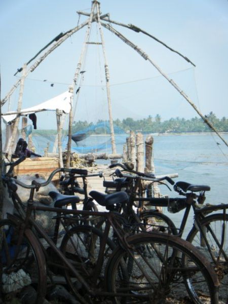 Bikes and nets