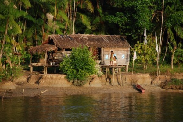 Velaux in the Amazon