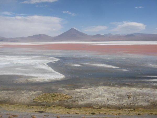 Colorada lagoon (South of Lipez)