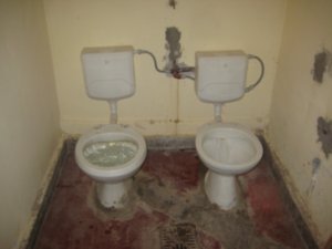Twin toilets