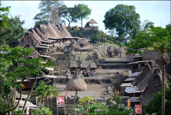 Traditional village in Flores island