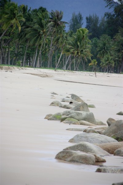 Bangsak Beach