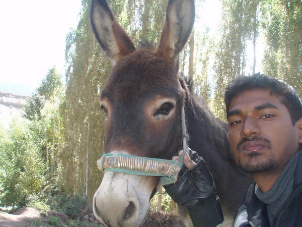 My-Donkey--me