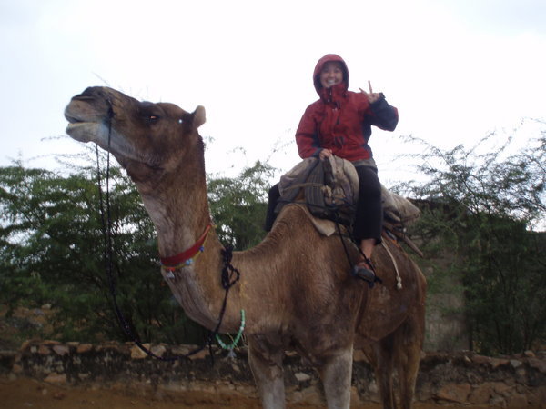 Extreme Camel riding in the rain