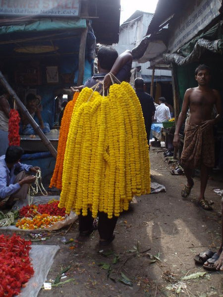 Calcutta Flower market